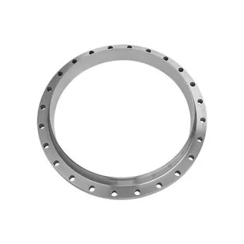 Stainless Steel DIN Large Diameter Steel Pipe Flange