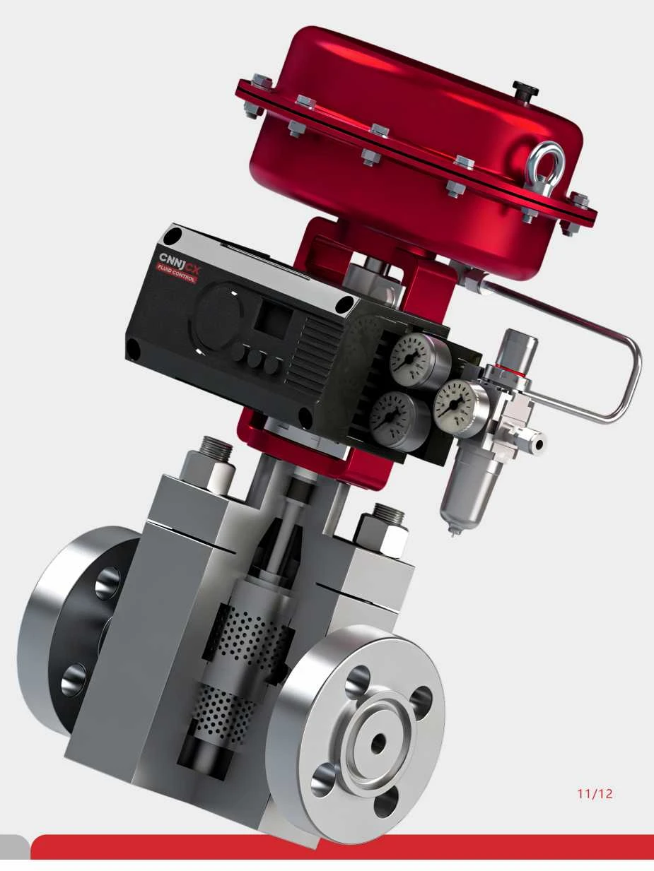 MULTI-HOLE CAGE PRESSURE REDUCING CONTROL VALVE